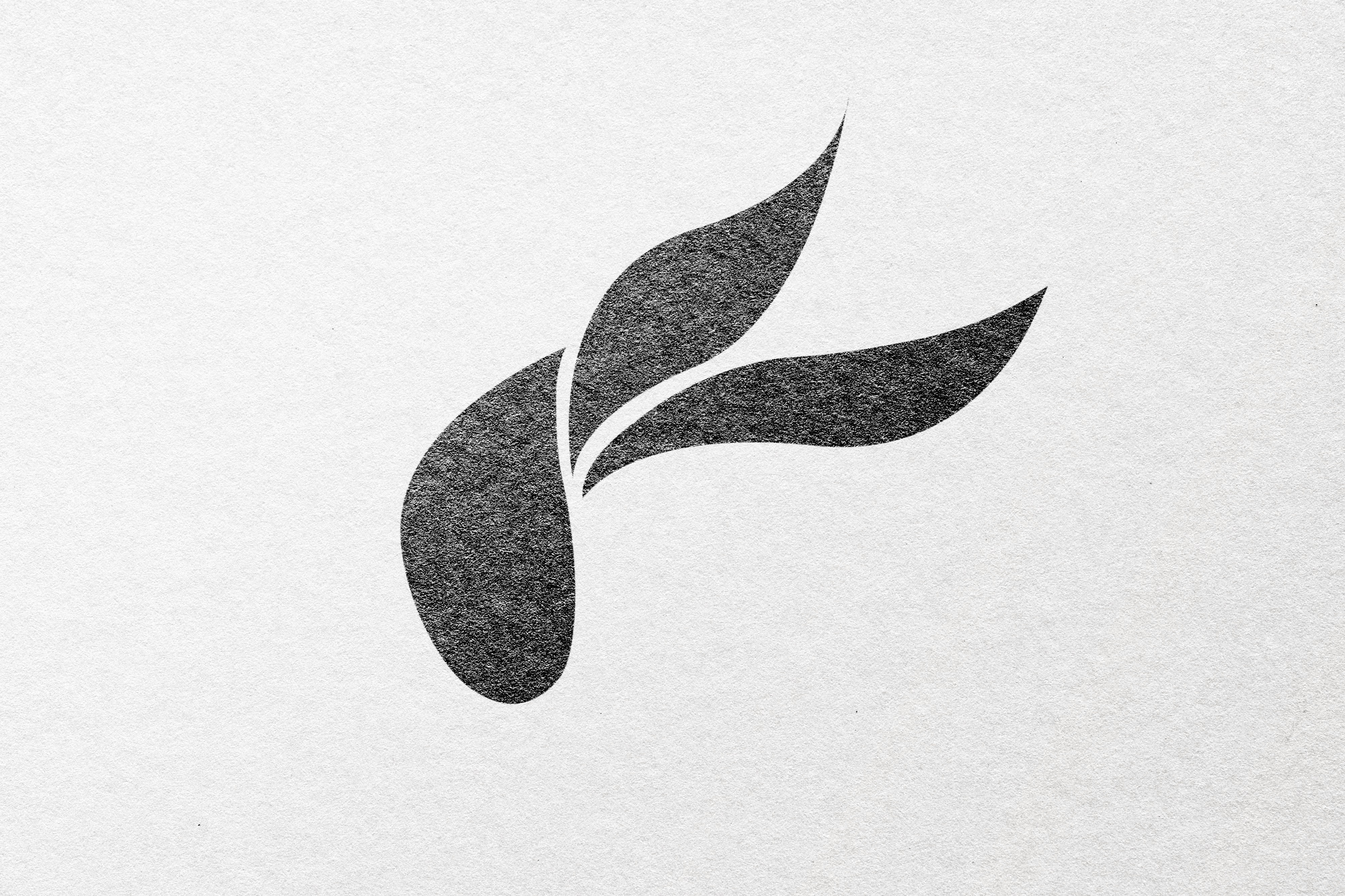 Angora est une marque de vêtements responsable, alliant élégance épurée, confiance et modernité consciente.