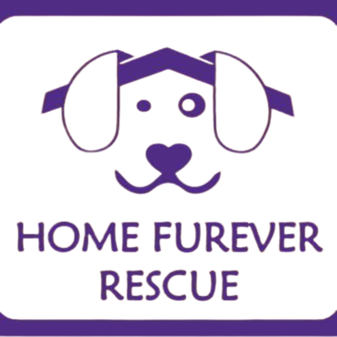 Home Furever Rescue Logo