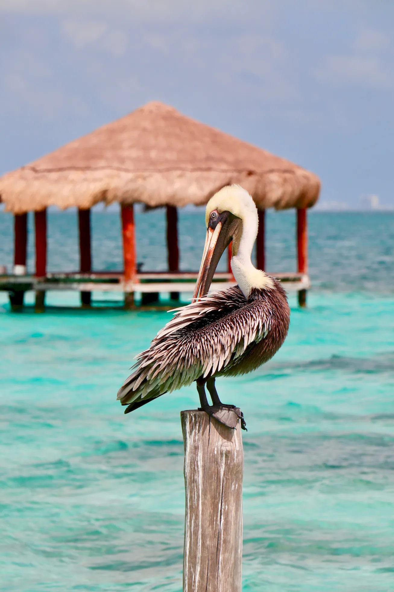 Beach at Cancun, MX