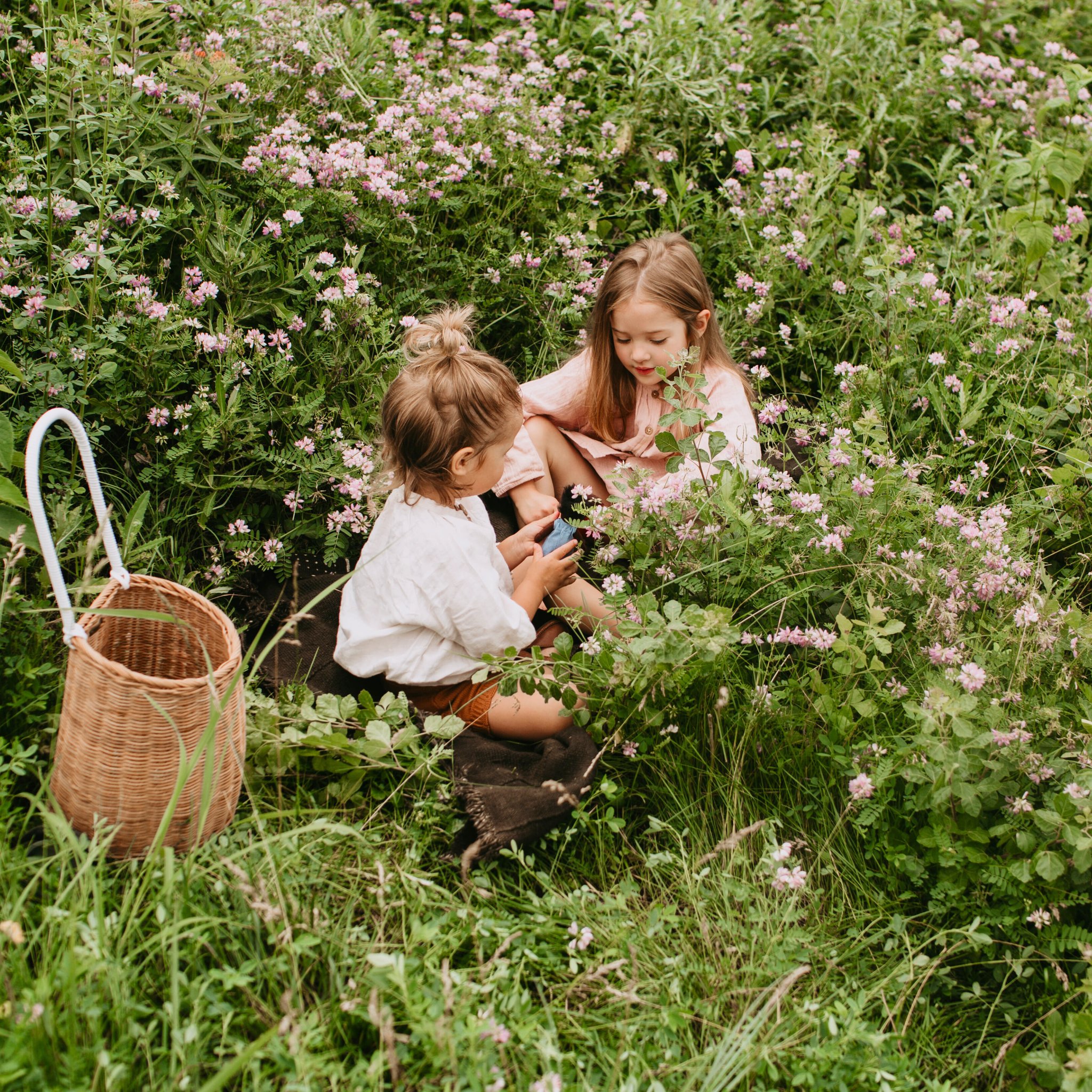 Piccolo Public Relations Case Studies