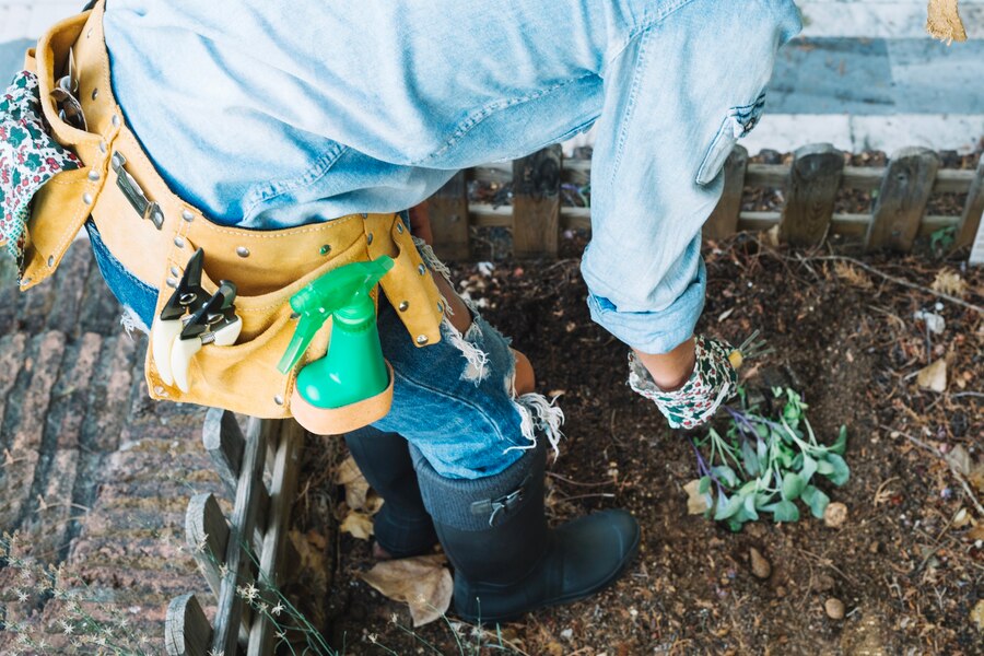 How to plant Trees