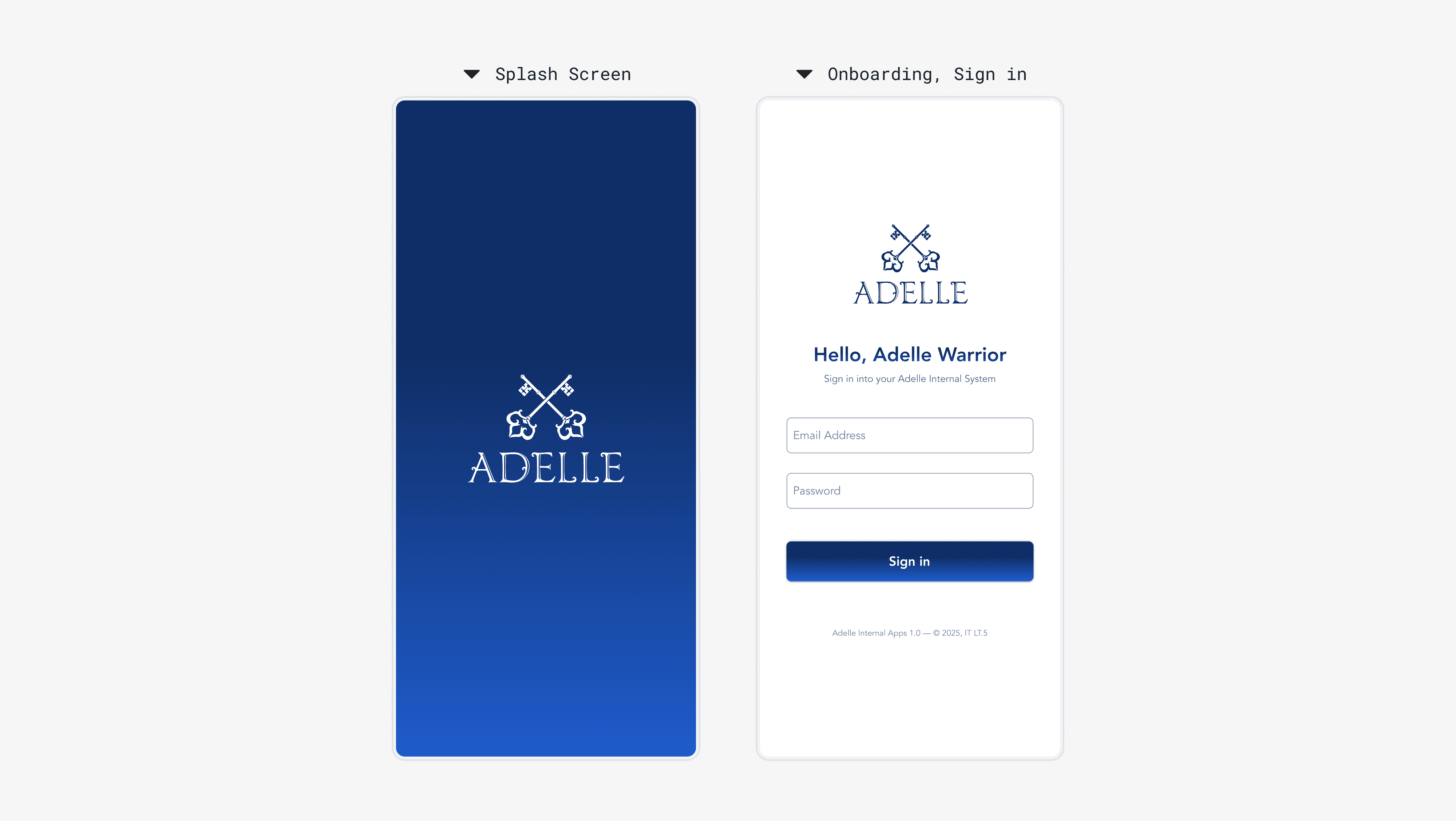 Authentication Interface