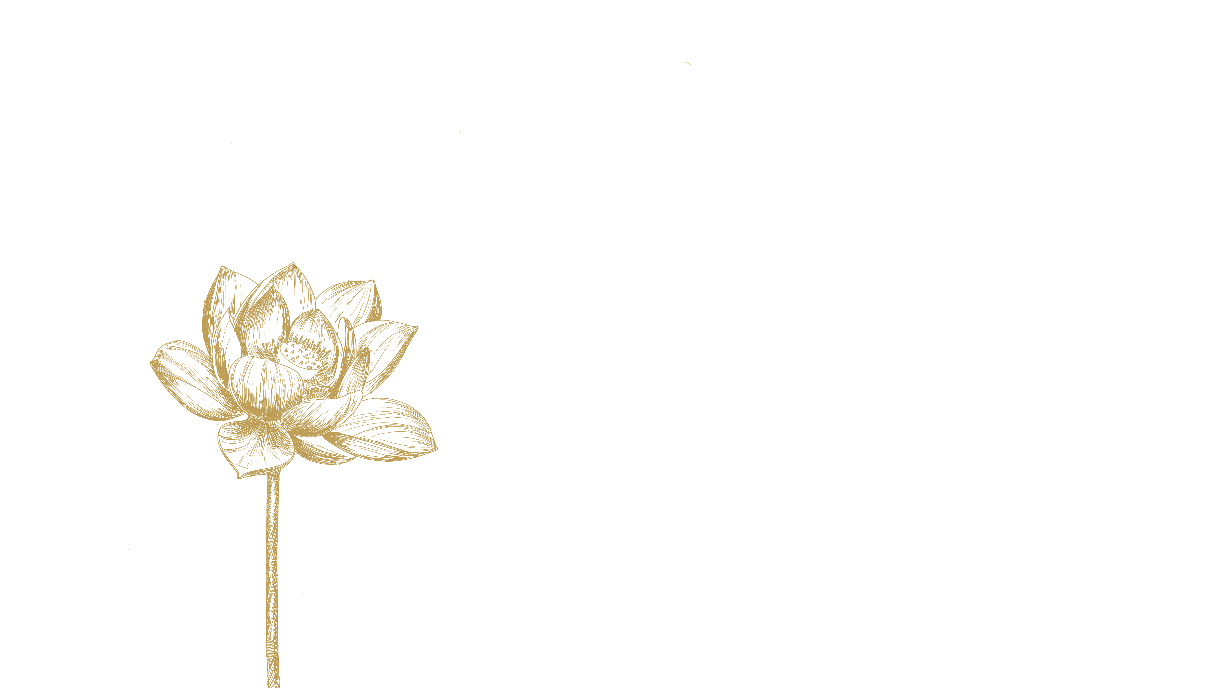 Line drawing of a flower with leaves