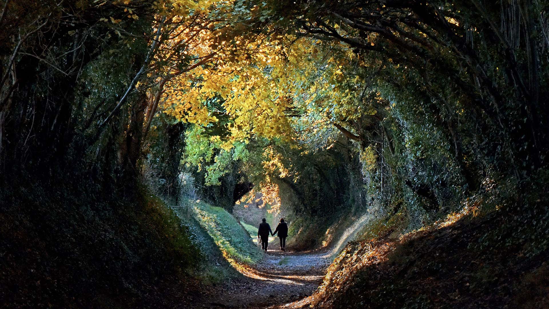 2 people on a path surrounded by trees