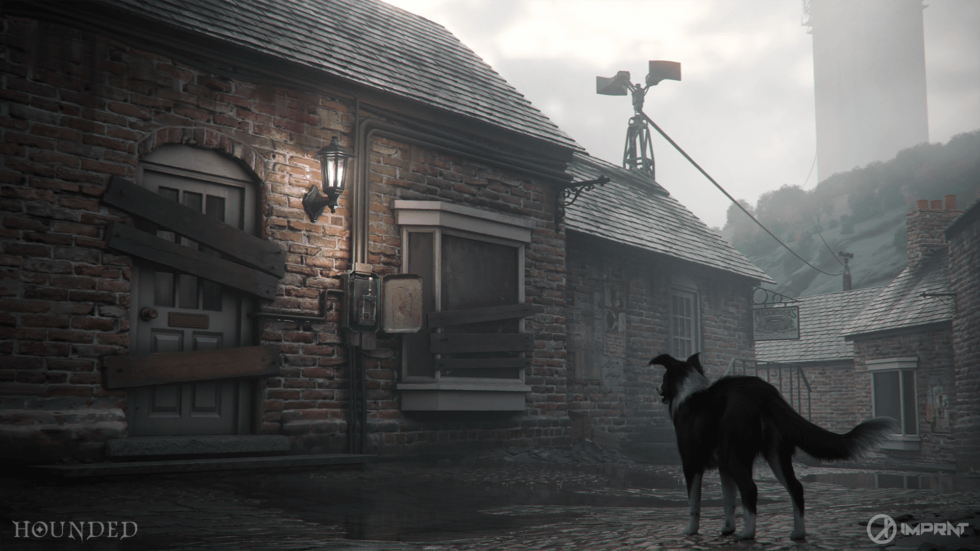 hounded game in-game looks