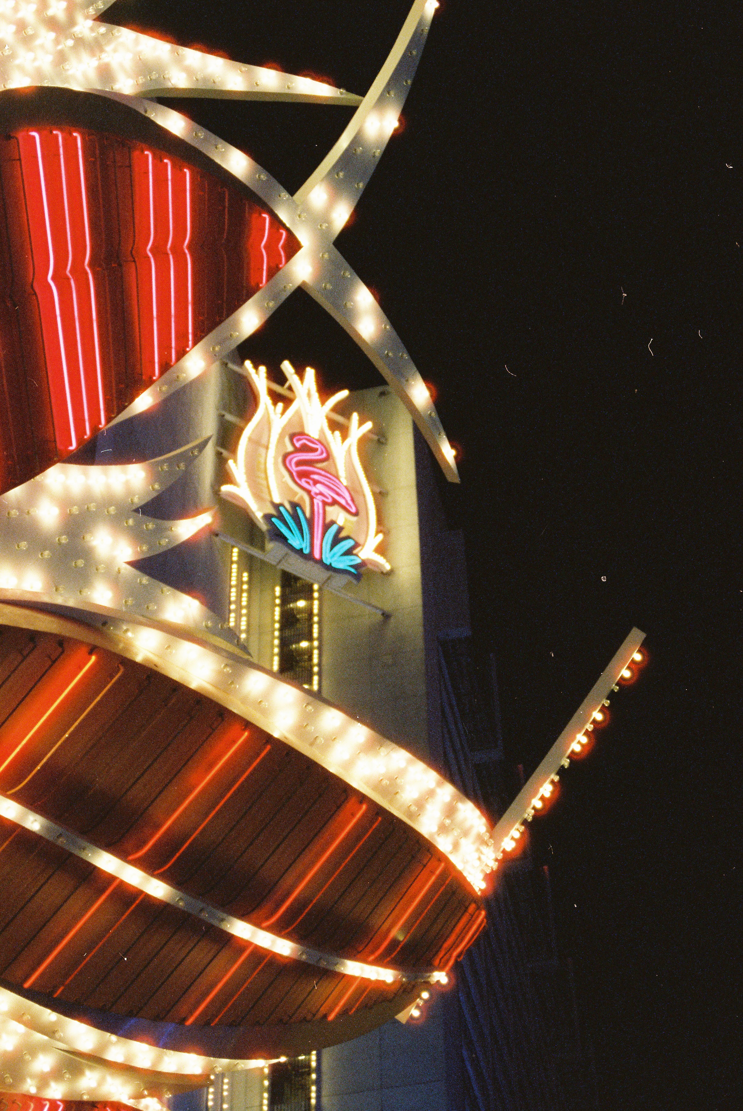 Flamingo neon sign