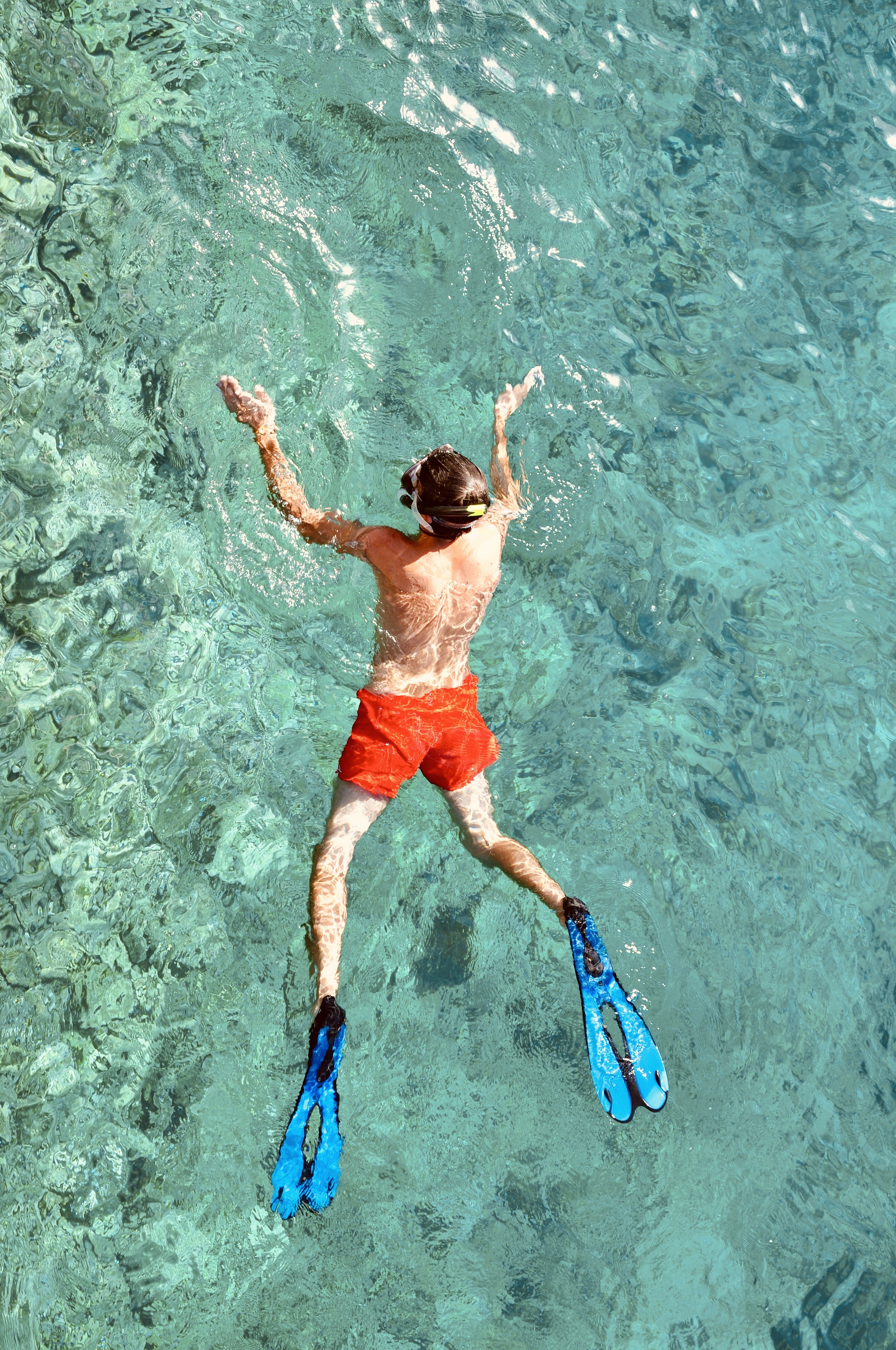 Scuba Diving