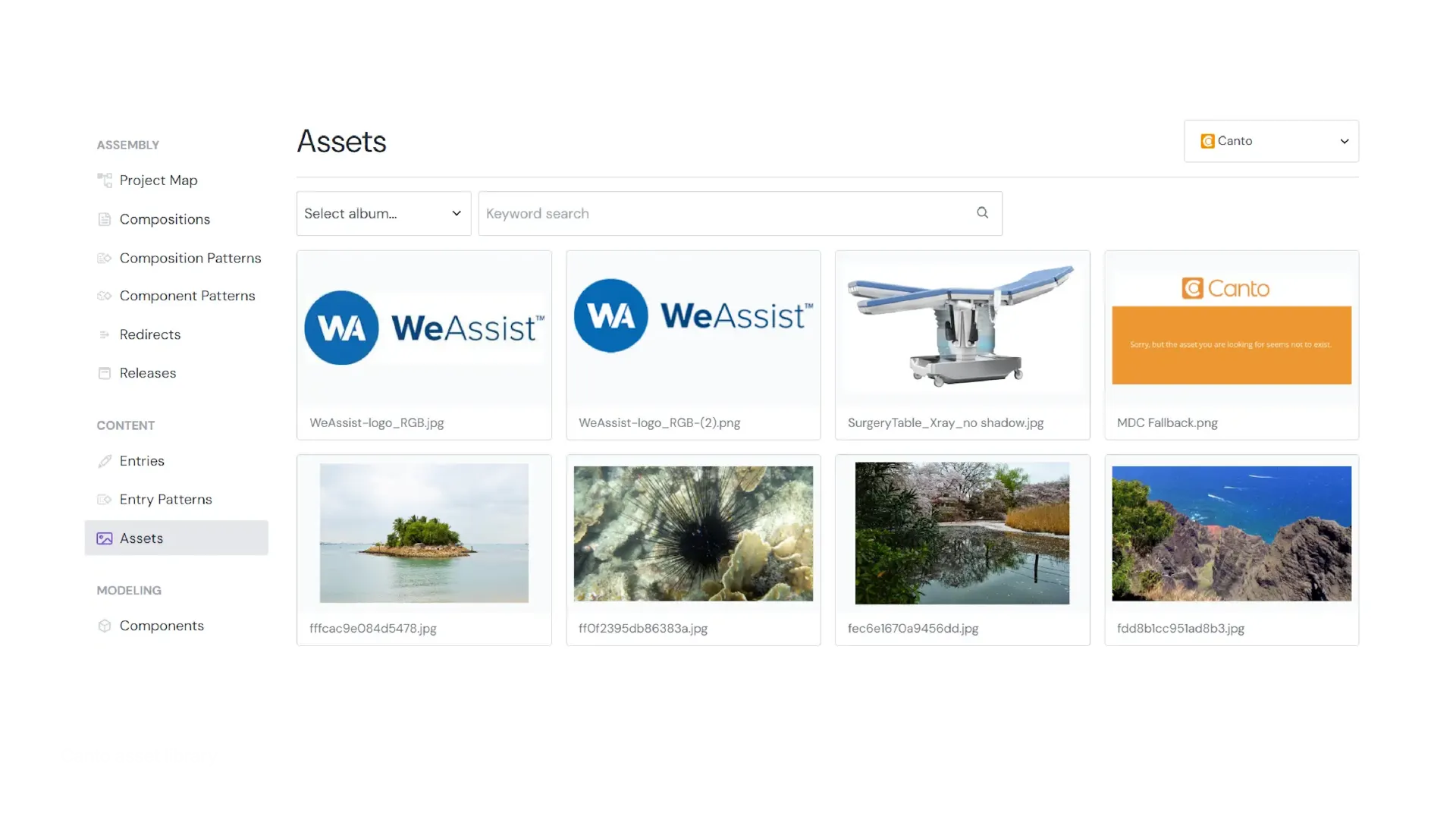 Canto asset library interface with smart albums, search, and branded portals