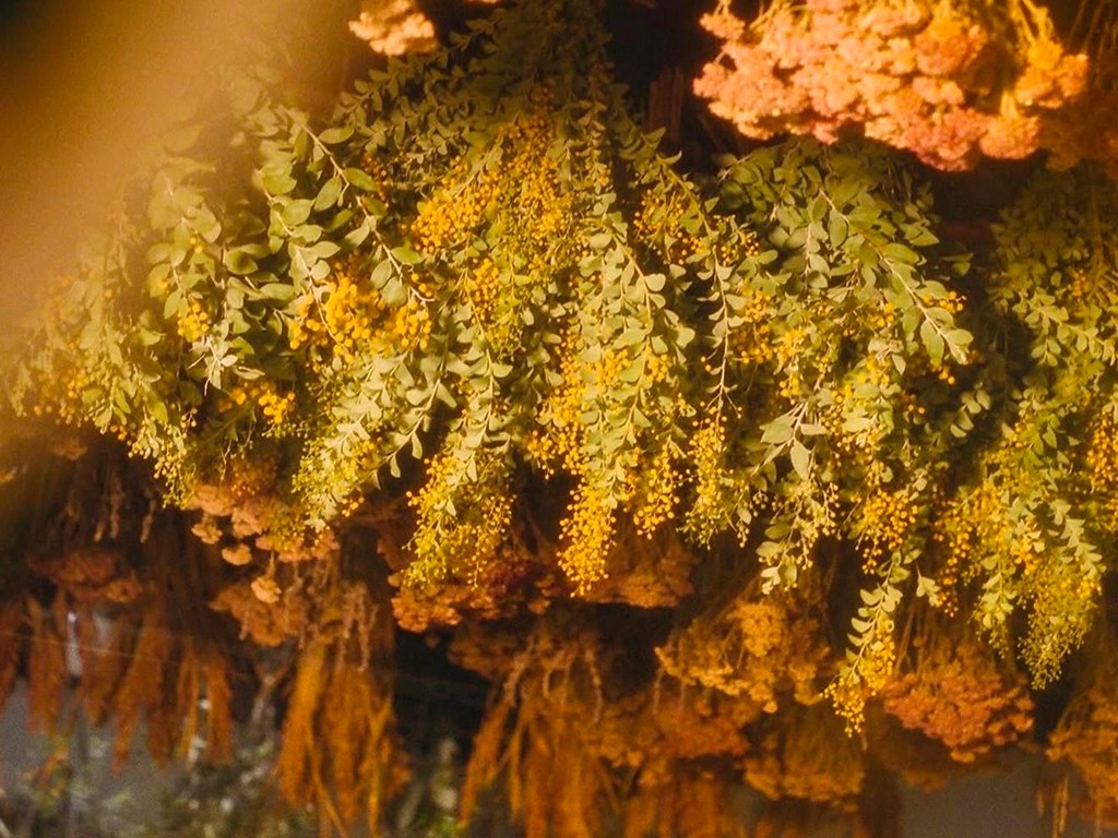 The digital foundation for one of LA's most culturally resonant lifestyle brands