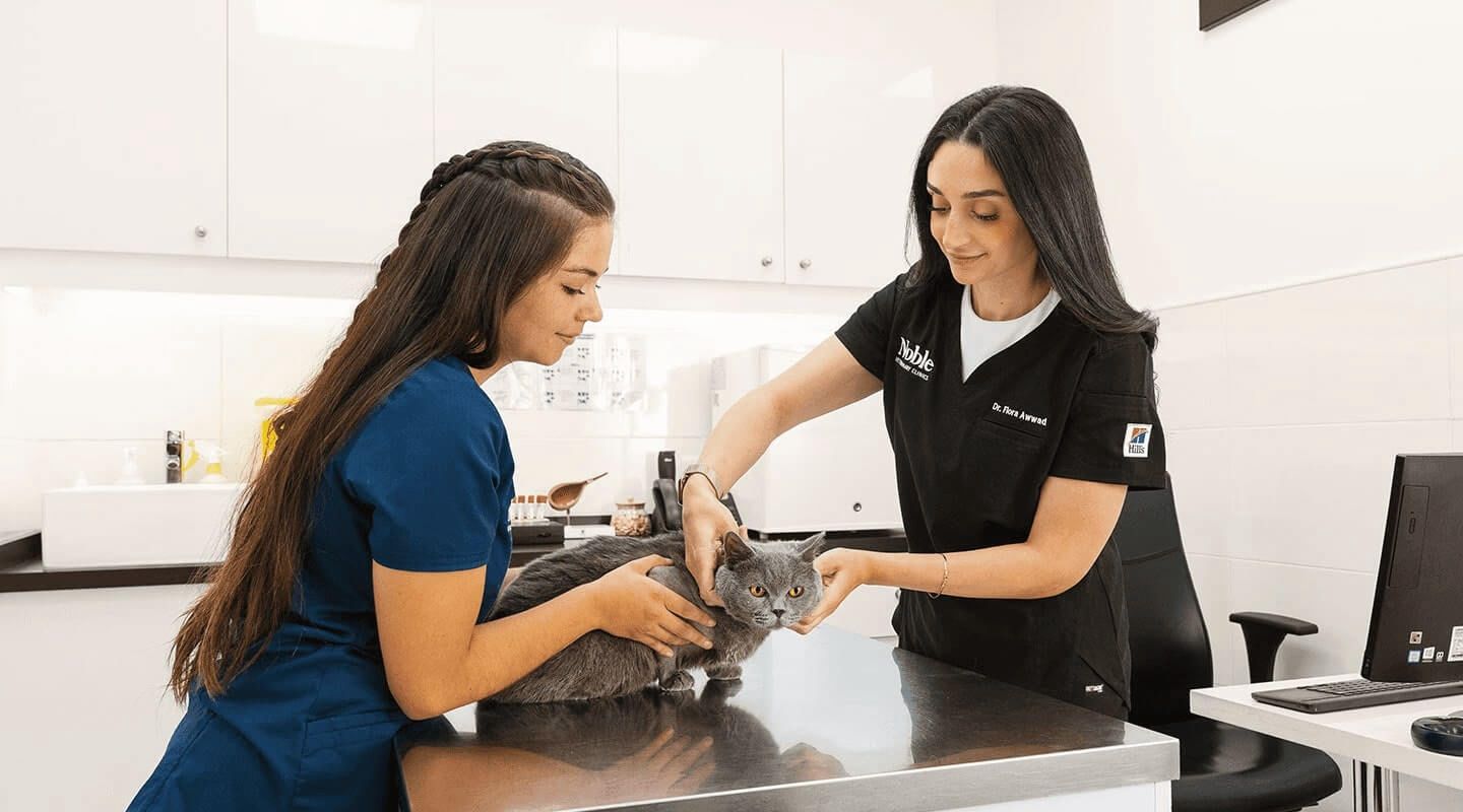noble veterinary clinics dubai