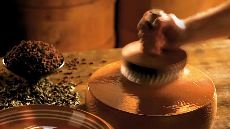 Appenzeller Cheese Show Dairy