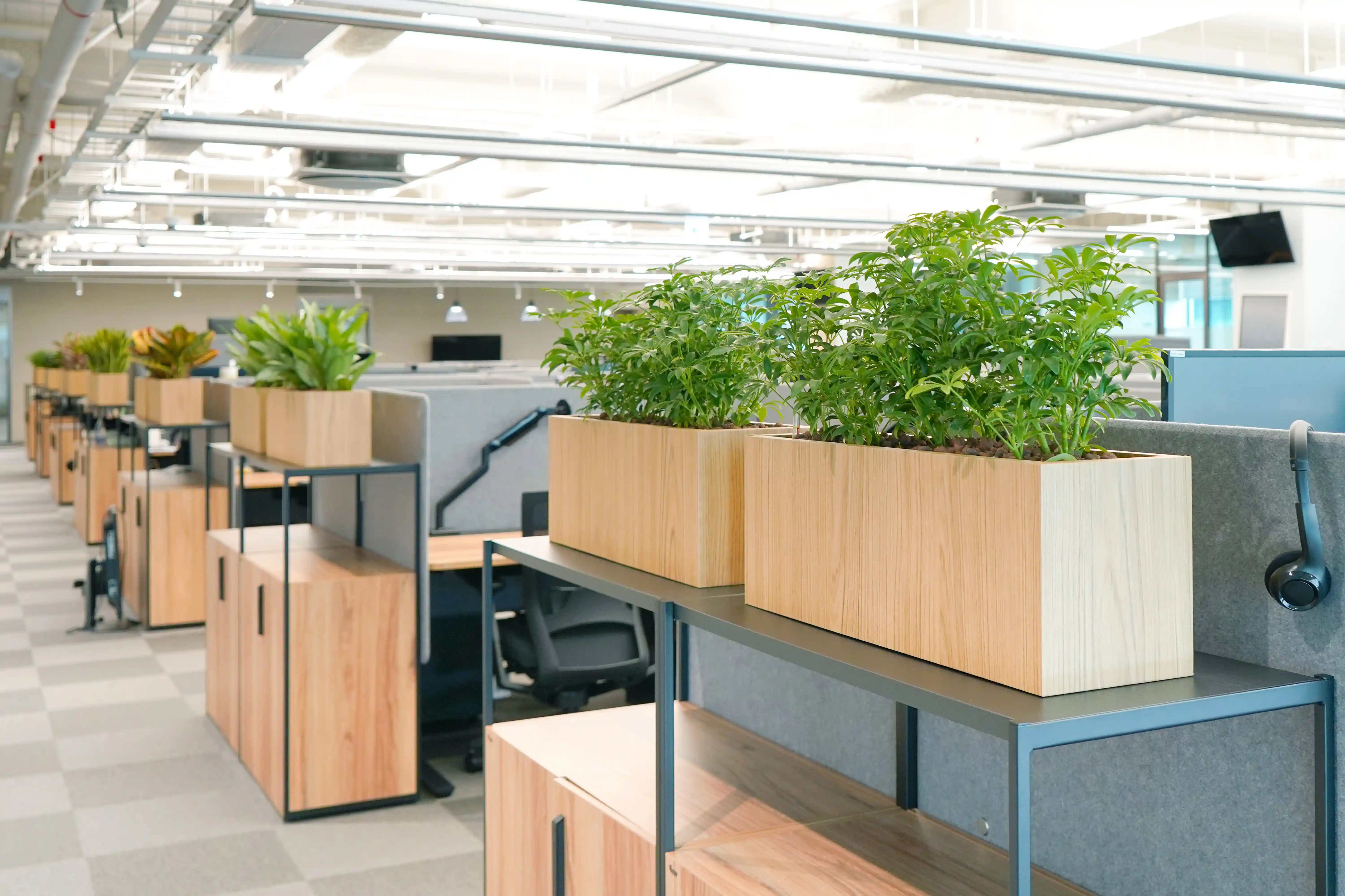 사무실의 분위기를 생동감있게 해주는 실내조경