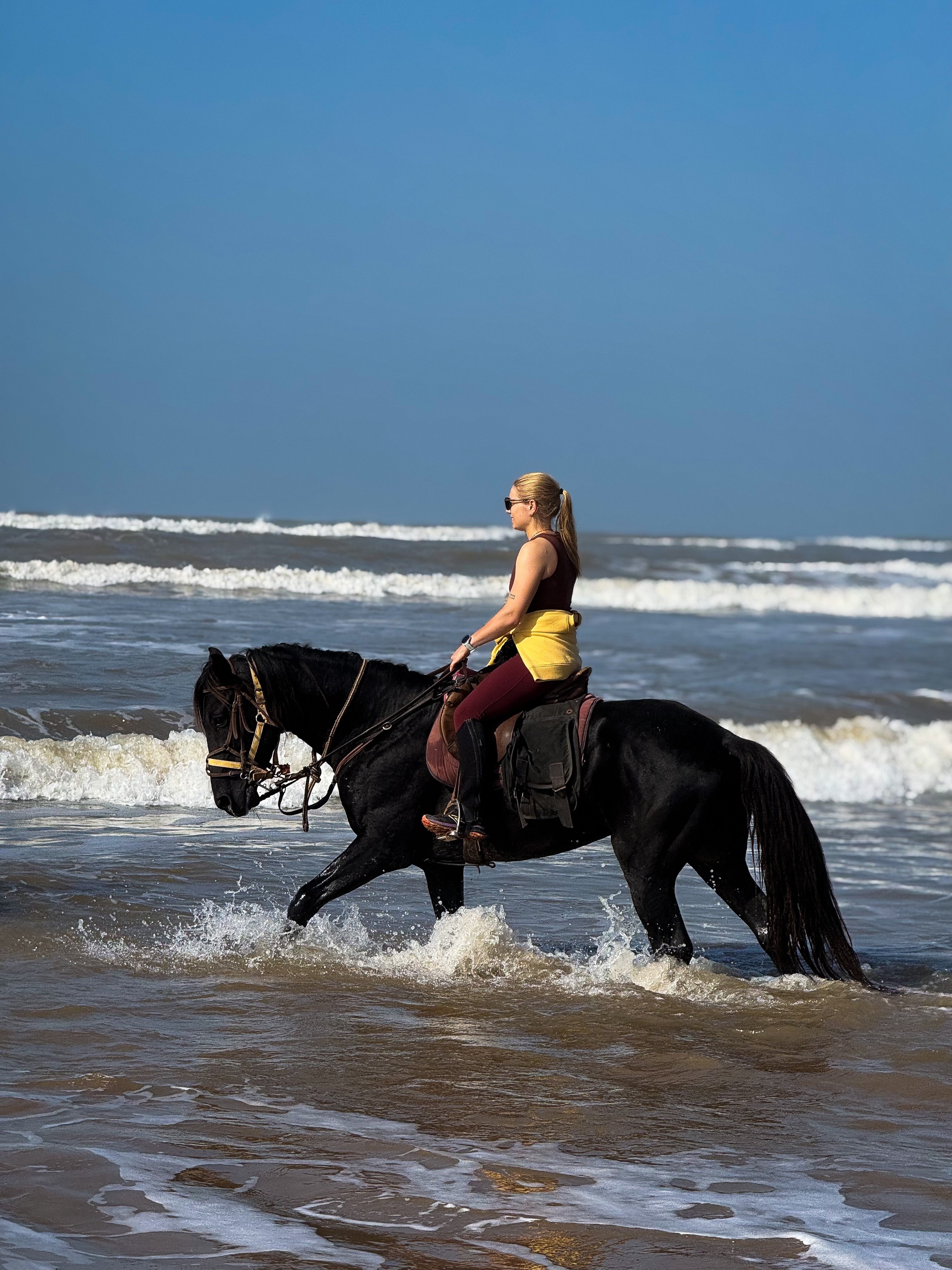 The image featured at the top of the about us page #1