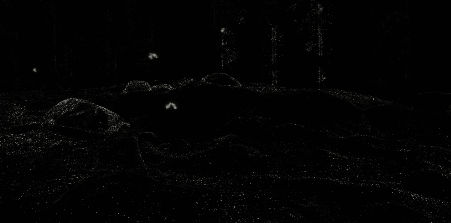 Sensory Odyssey famingoes