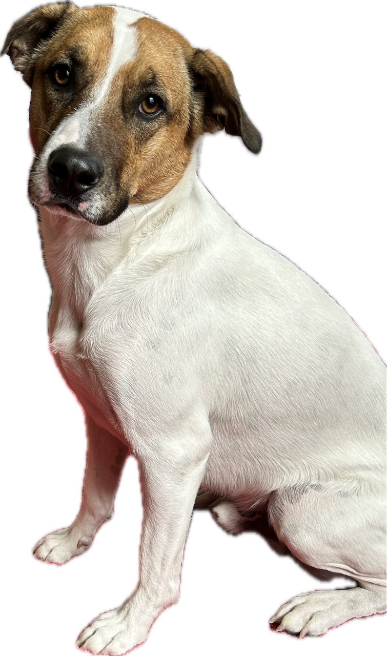 Driven by Purpose Image