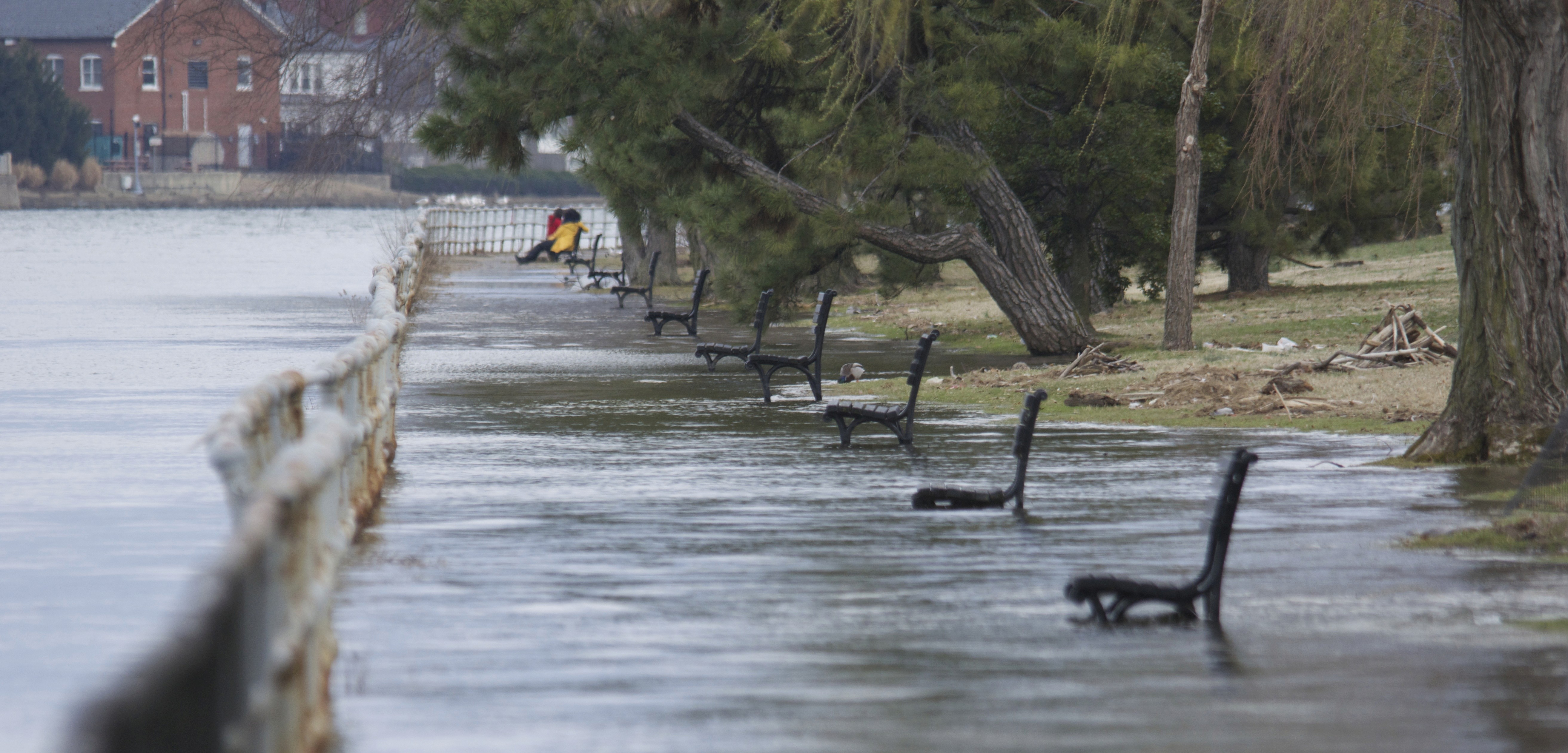 Flooding in West Potomac Park