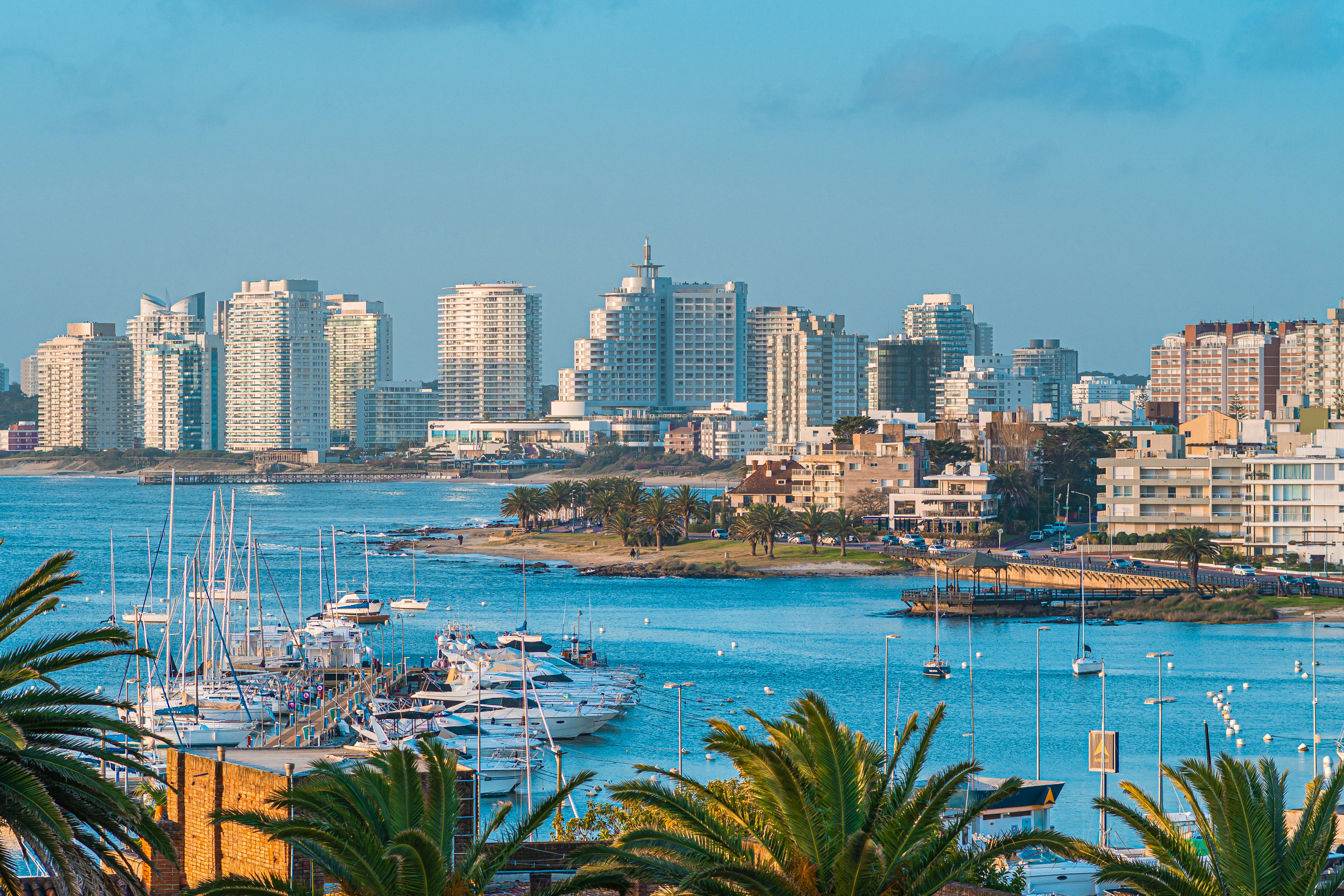 a view of a city with boats in the water