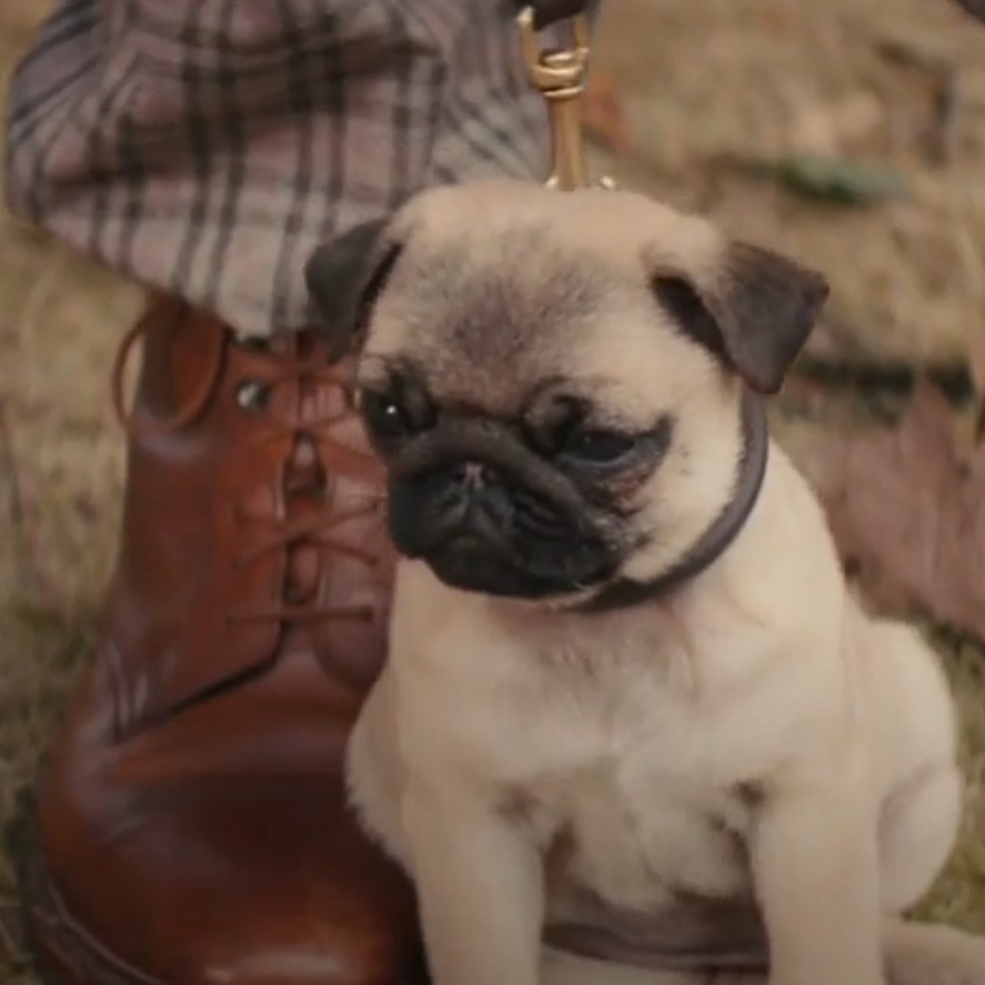 Netflix "Kingsman Gadgets"