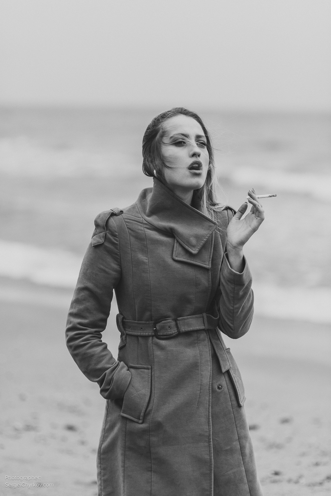 Seagulls by Sergei Chyrkov