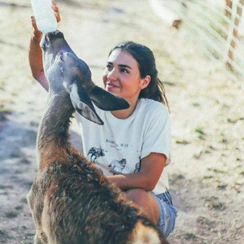 Wild Forest Reserve Foundation