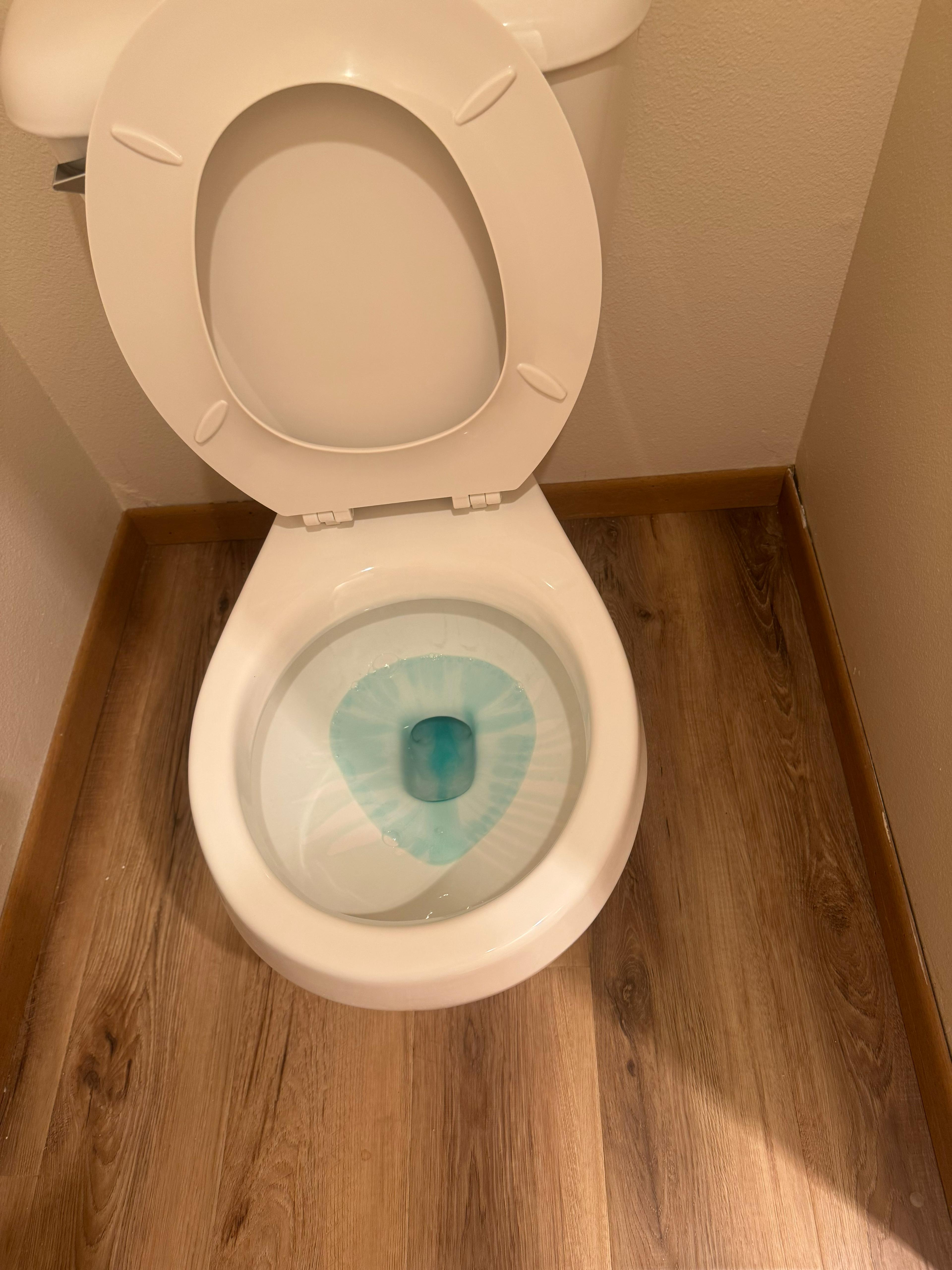 Lendita LLC Bathroom Cleaning