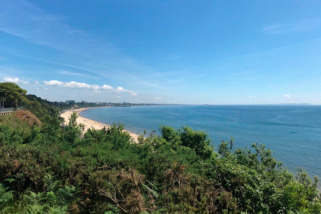 Business owner choosing a web development company in Poole for a new website project