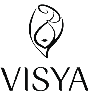 Visya Partner Logo
