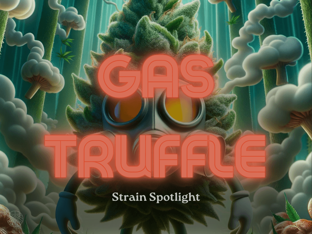 a cannabis bud with a gas mask on in a forest with truffles around - Title: Gas Truffle - Sub Title: Strain Spotlight