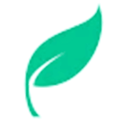 Green Leaf Icon