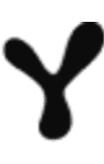 Yoosnap logo