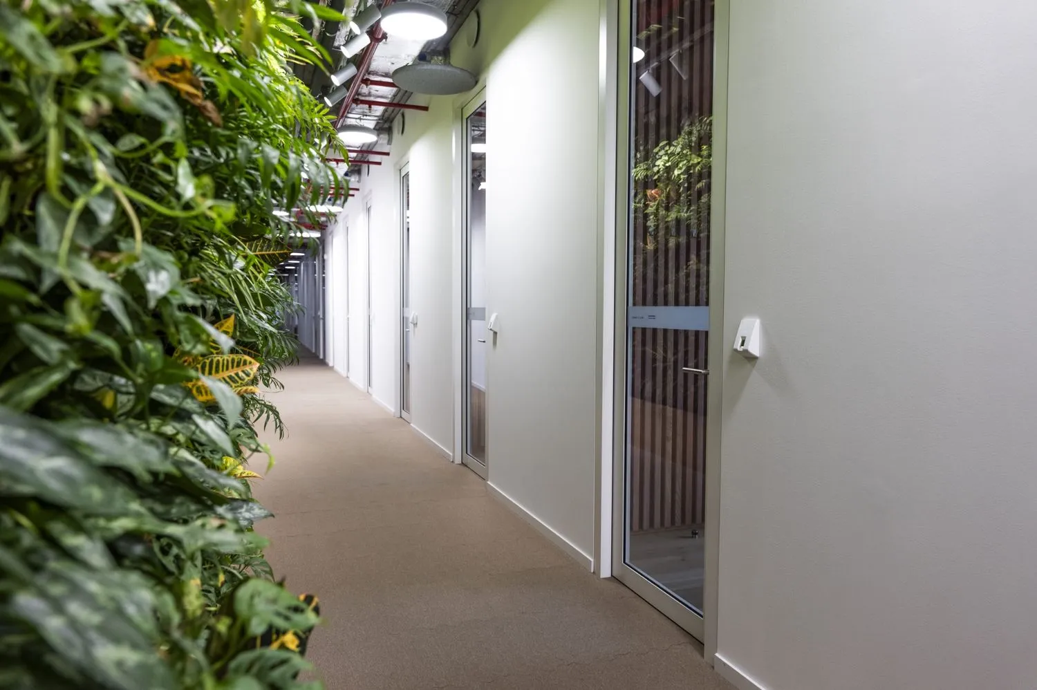 Photo of a hall with multiple doors