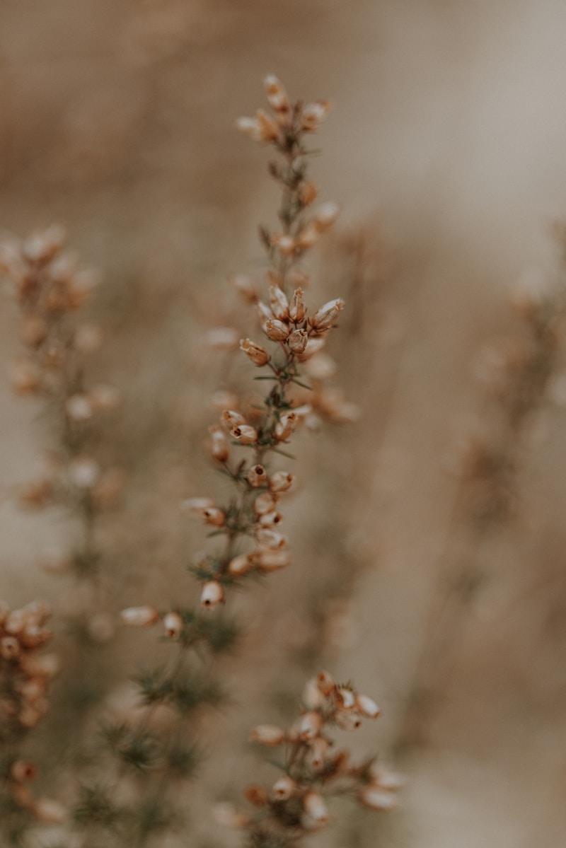 Muted botanical detail