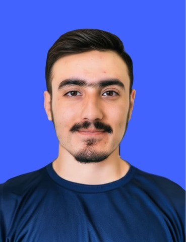 Goran Babarogic Product UX Designer