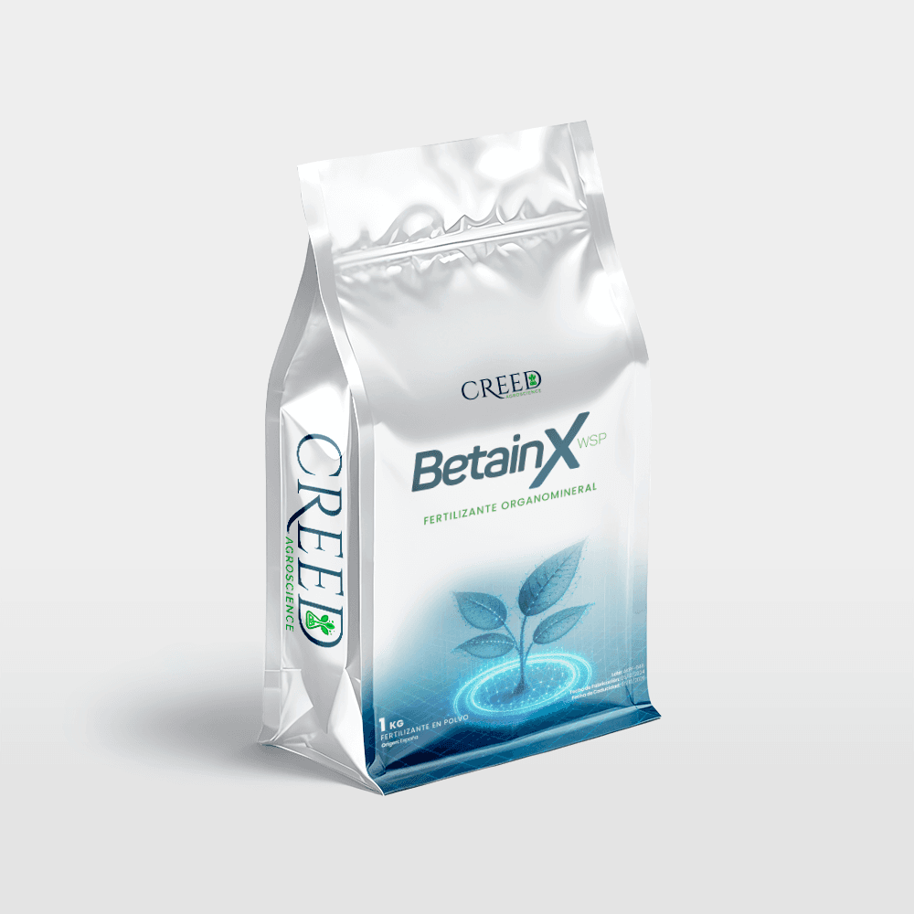 Envase de Betain X