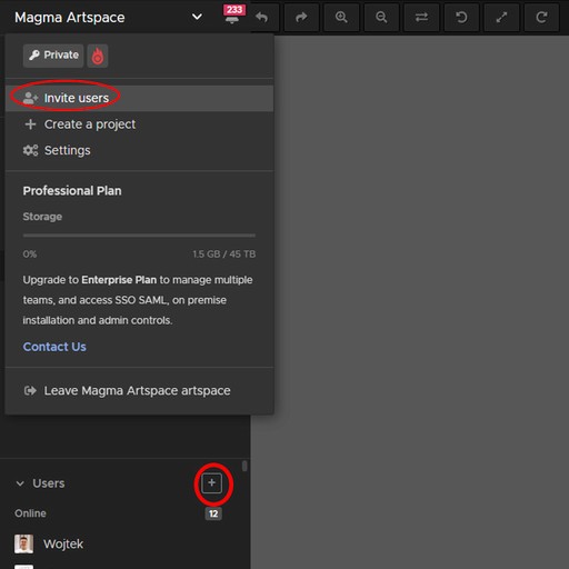 New to Magma? Some tips and questions answered | Magma