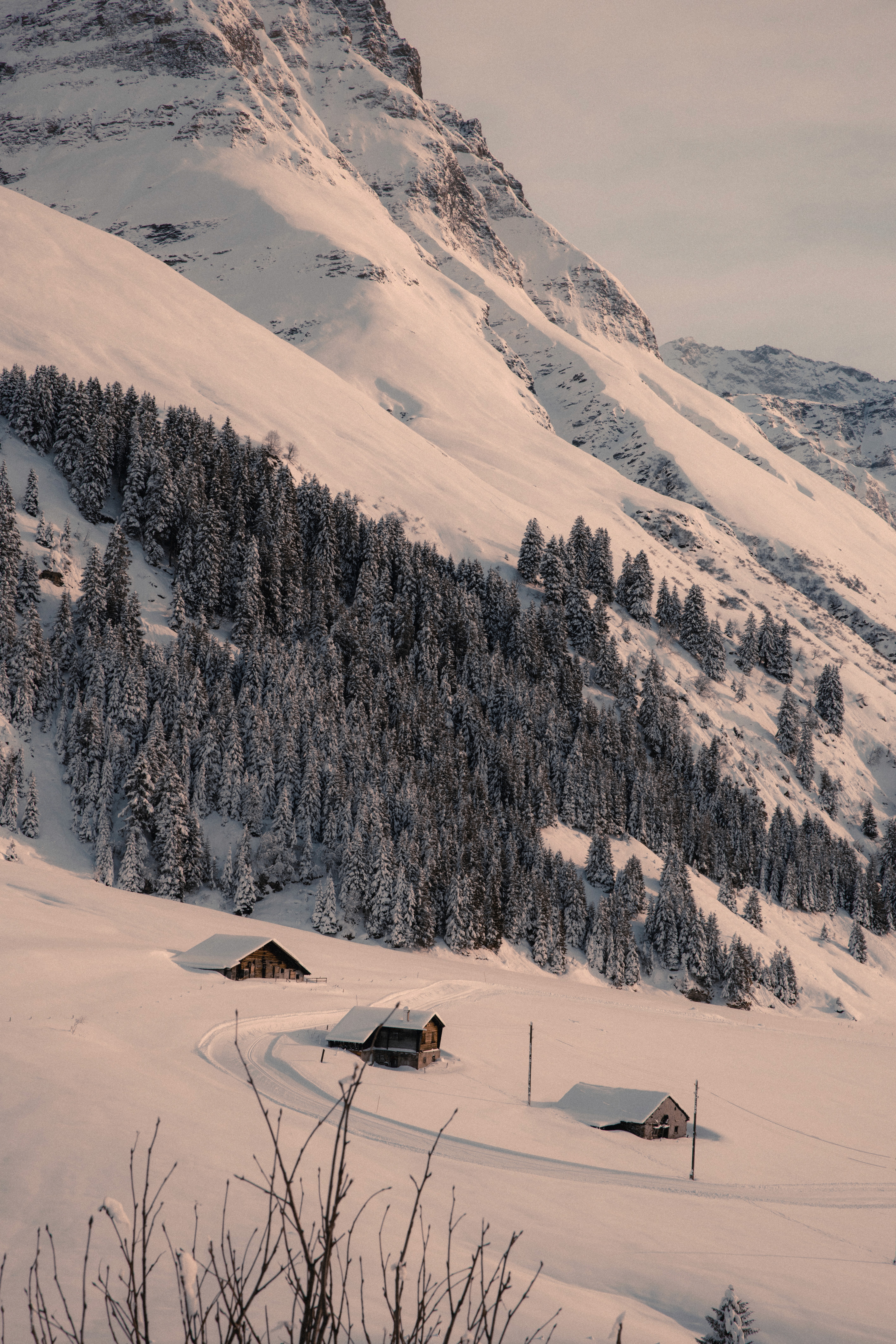 Close-up of a hand holding several monochrome instant photos
