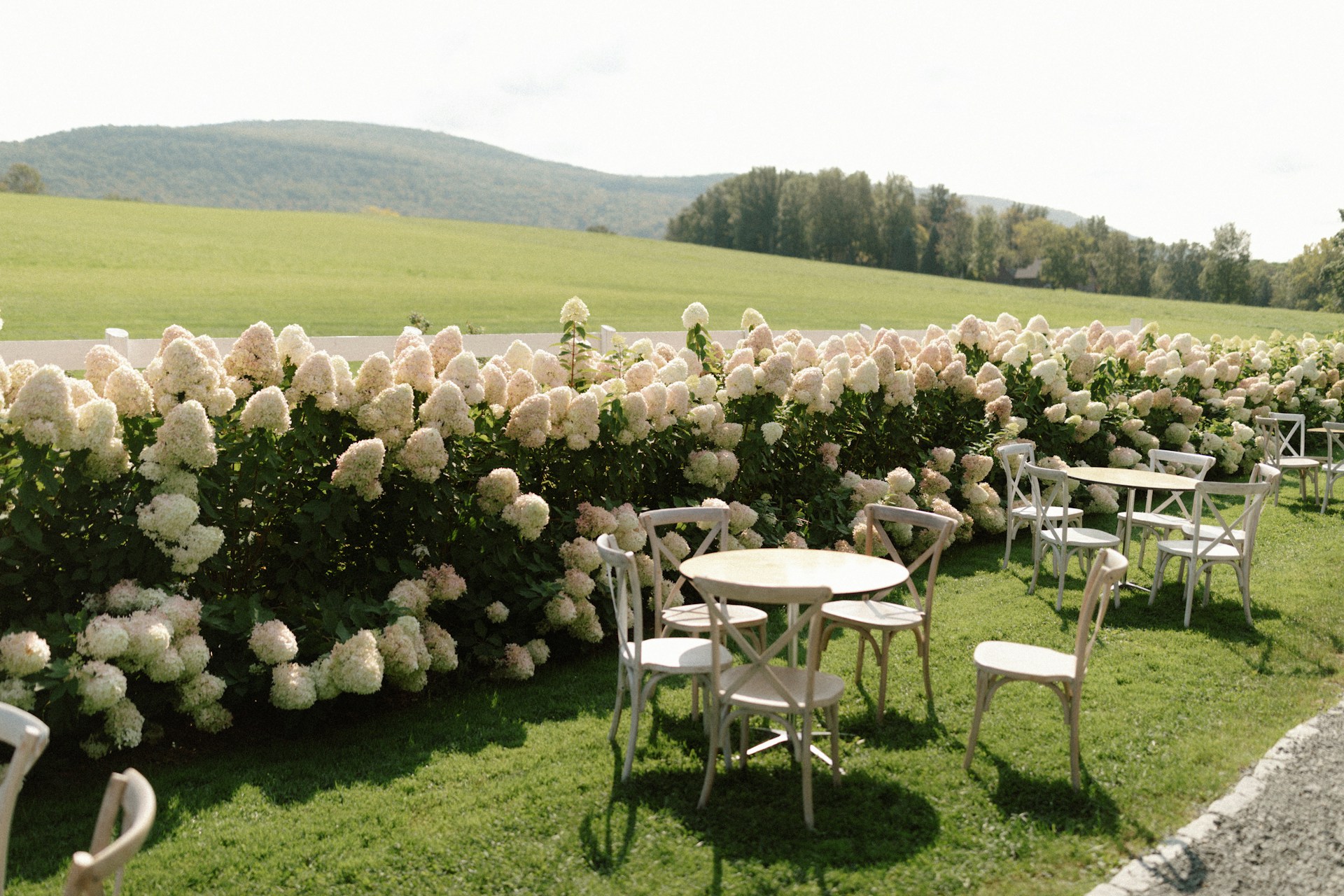 White cafe tables and chairs on a lawn beside blooming white hydrangeas with rolling green hills in the distance.