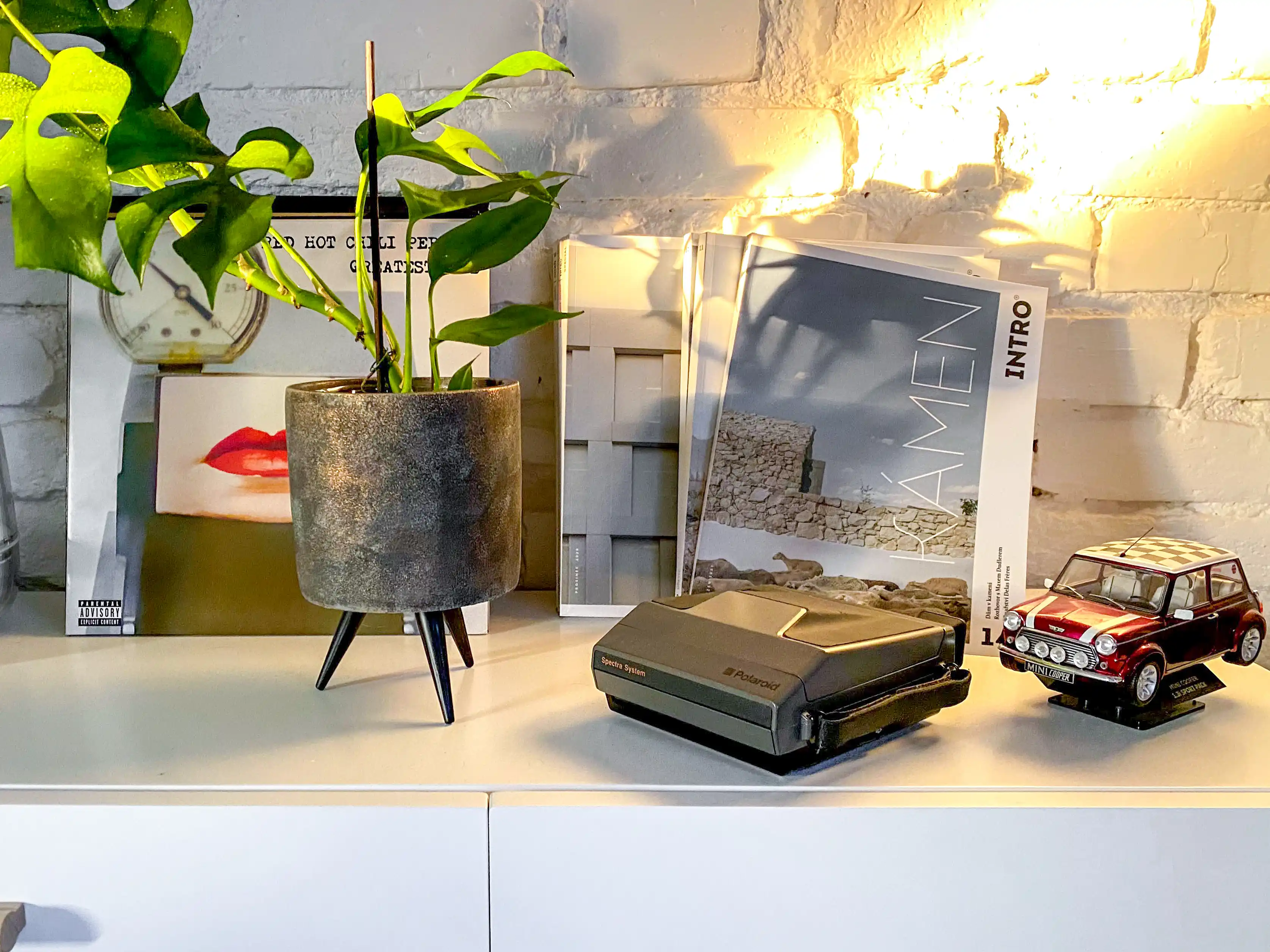 Cozy living room with rustic wooden walls and bright windows.