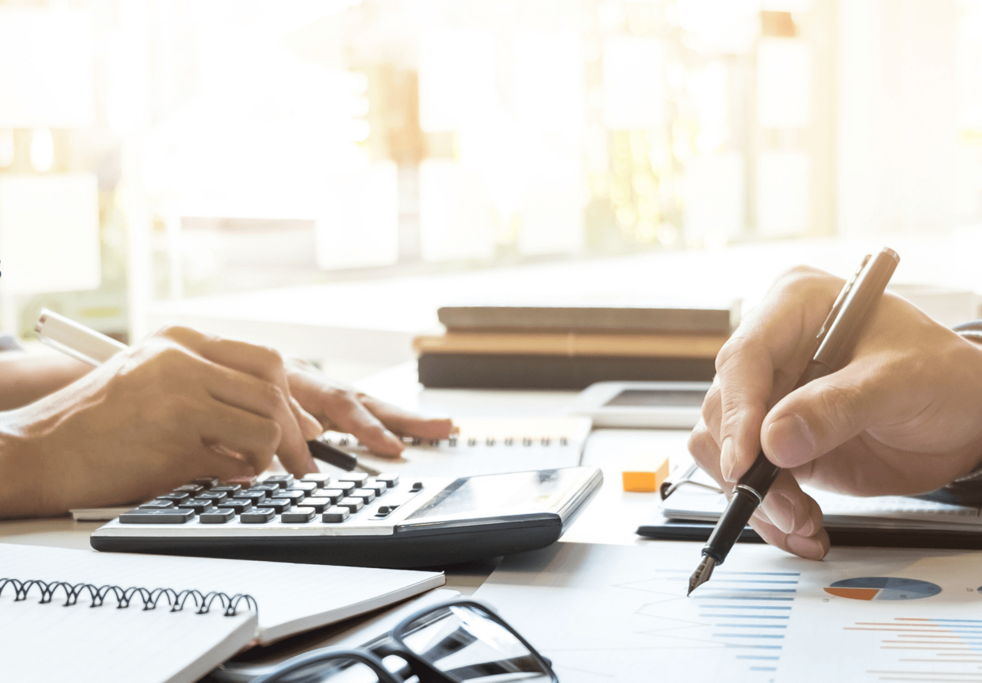 BULK (11.5 x 8 in) (9).png