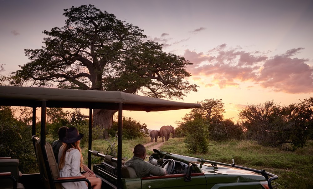 Night Safari Victoria Falls Zimbabwe