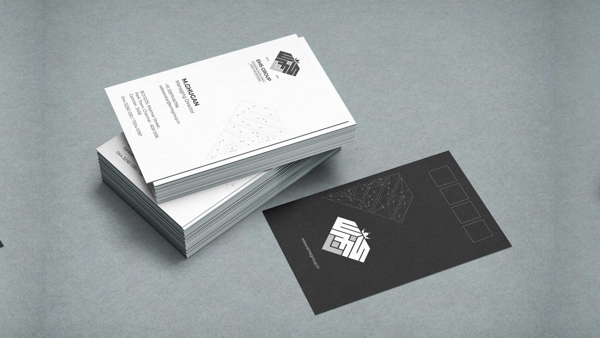 EMS Group branded business card design — Penguincil Design