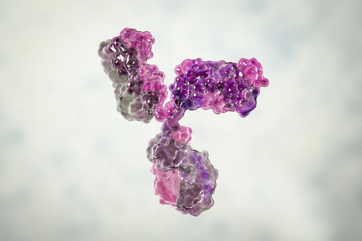 3D rendering of an antibody, a key part of the immune system.