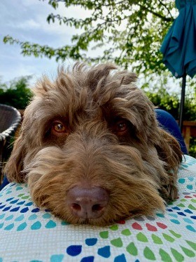   Get up close and personal with your subjects.  