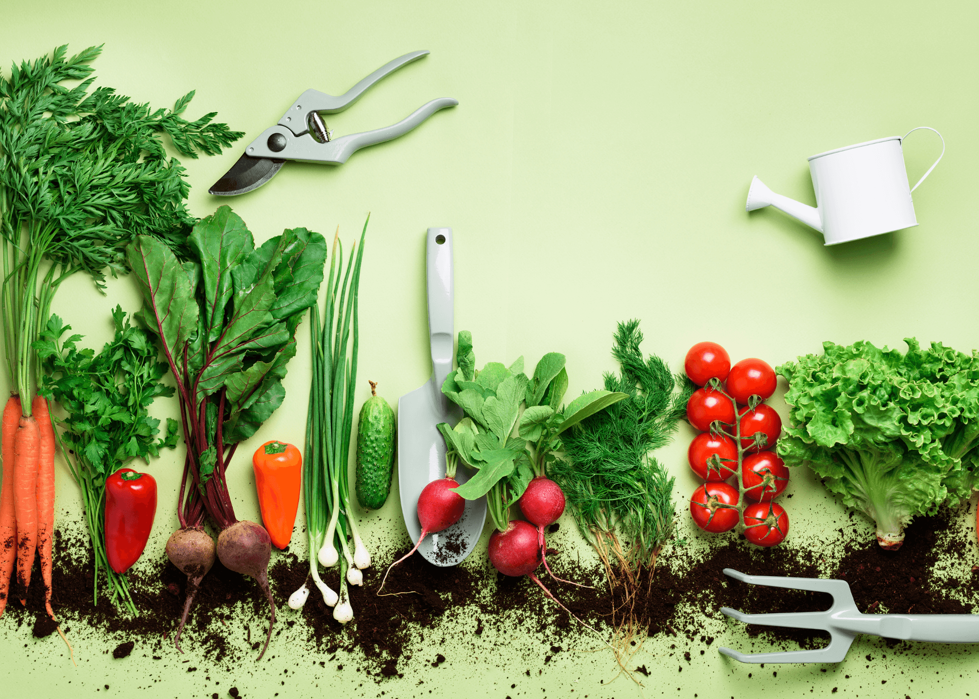 Do I have to shop organic?