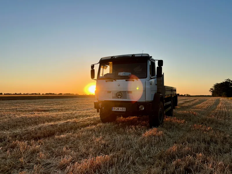 Reggeli aranyló napsütés a méhészetnél
