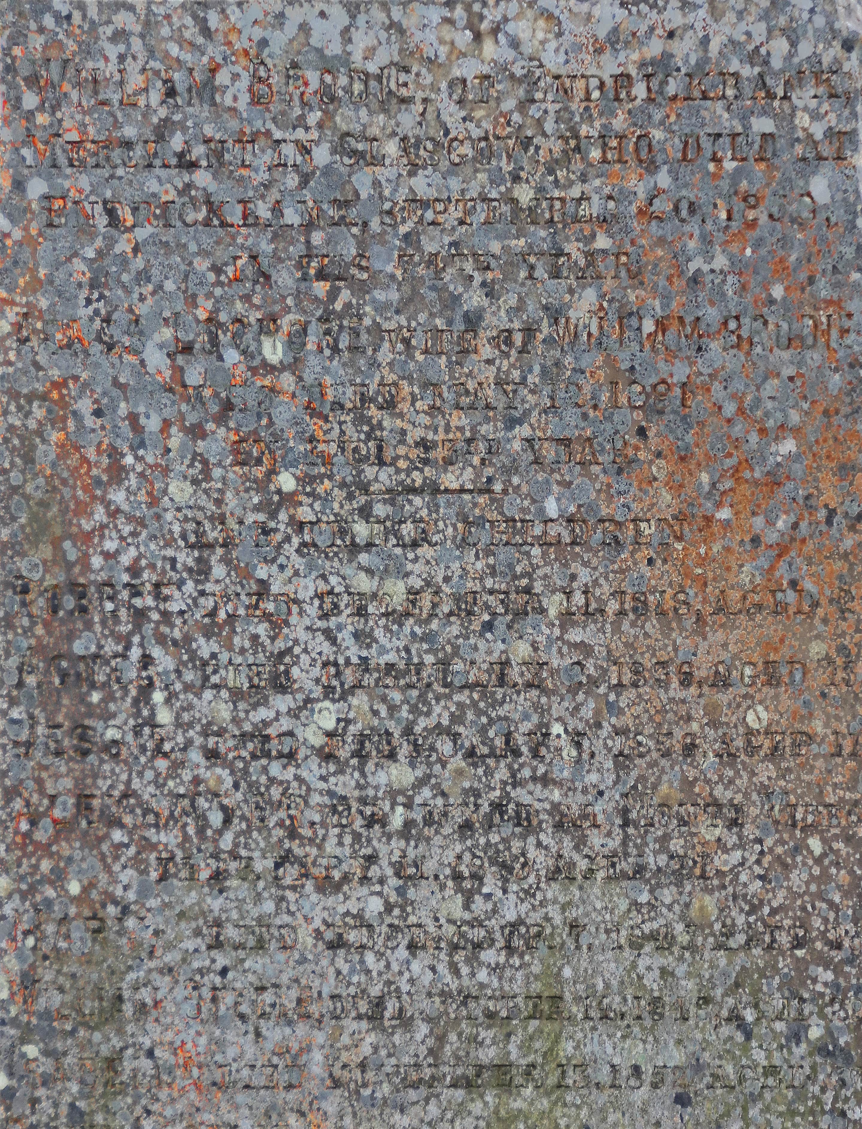 Close-up photograph of a gravestone covered in dense speckled lichen and weather staining, with rows of engraved text barely visible beneath the mottled surface. The layered erosion creates a textured field where inscription and decay merge.