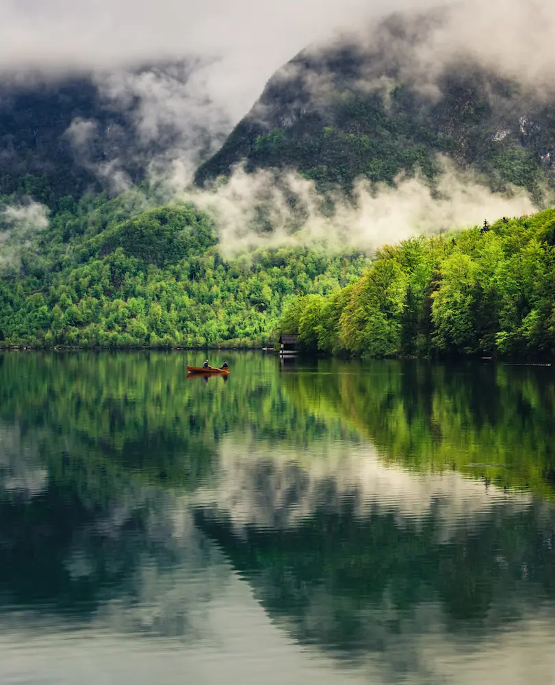 A reflection of misty green forest in Lake Bohinj, Slovenia.