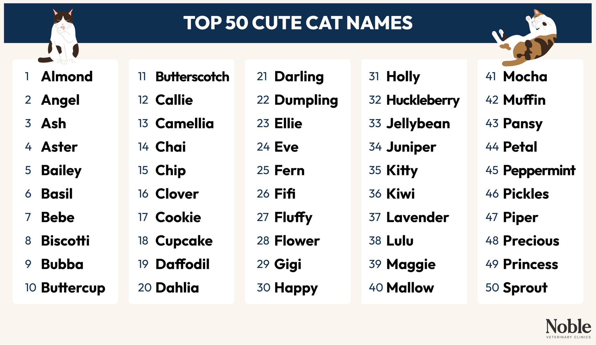 300 Best Cat Names: Choose the Perfect One for Your Pet!