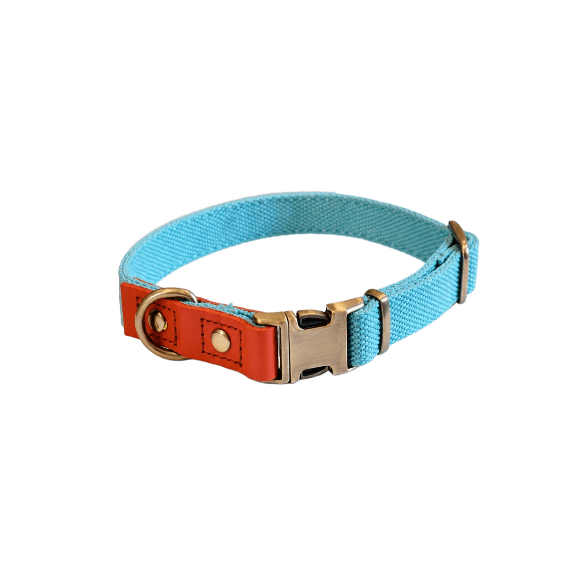 Powder Blue / XS