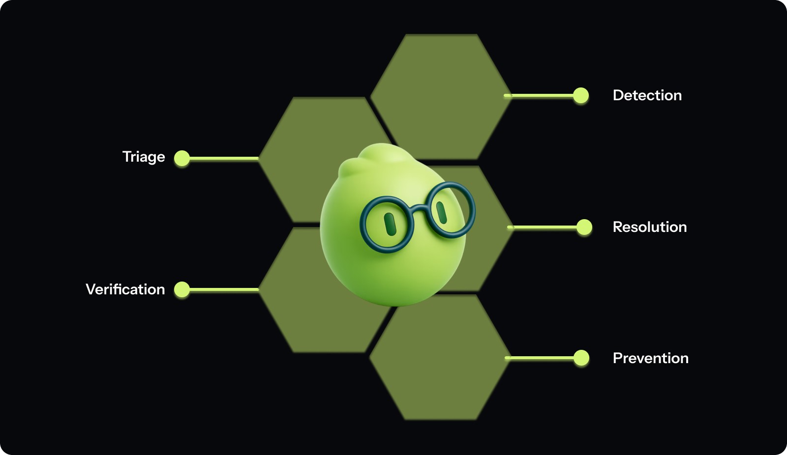 The 5 Steps of the Bug Management Lifecycle